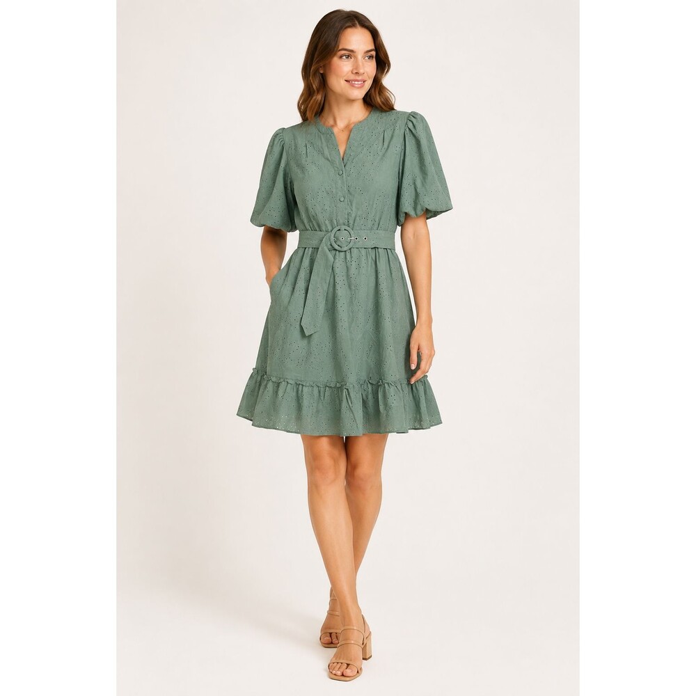 Joie Dress Women 4 Sage Green Eyelet Embroidered Belted Lined Puff Sleeve